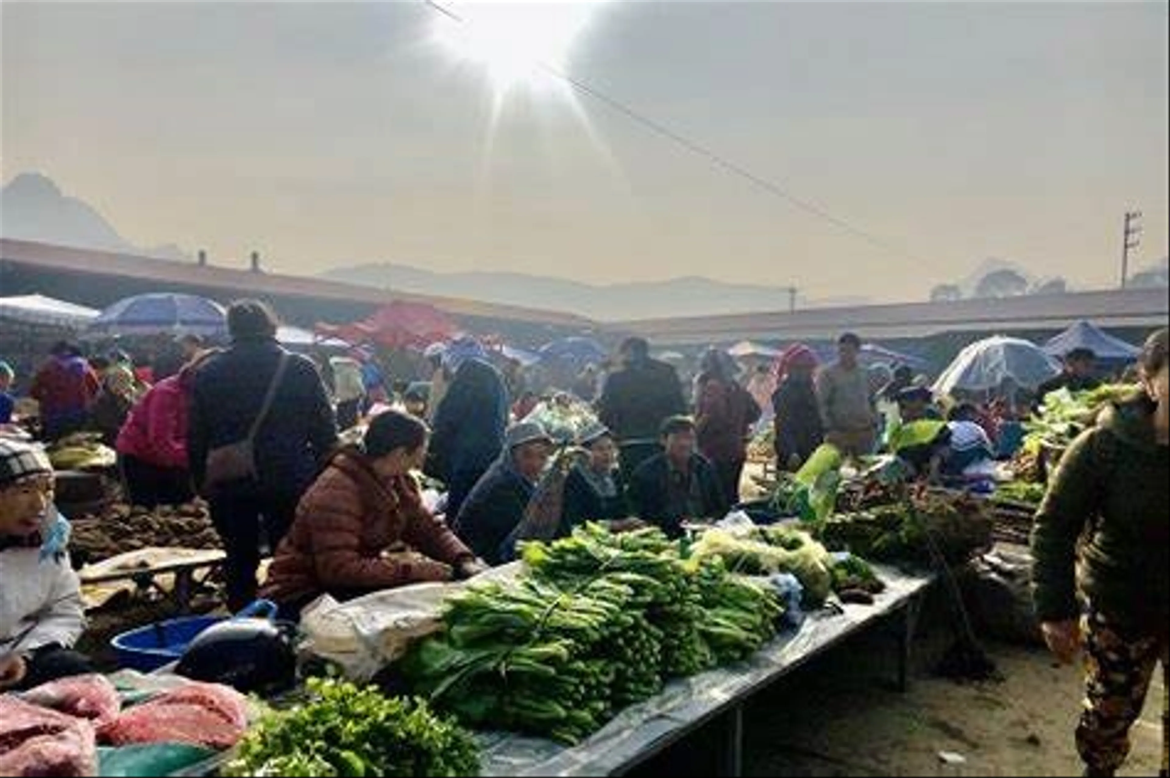 Khám Phá Chợ Mường Khương nét Đặc Sắc Văn Hóa Vùng Cao Lào Cai