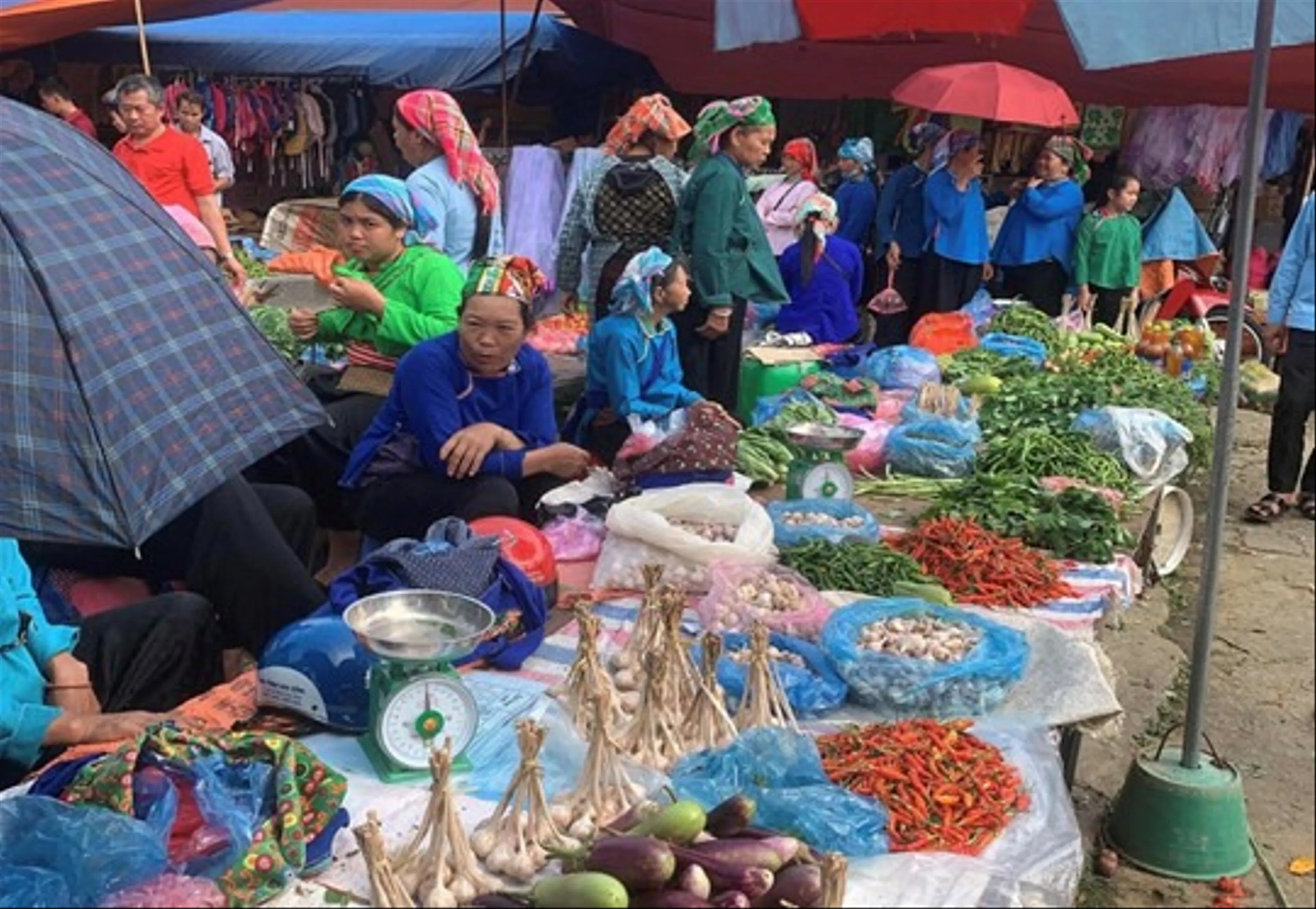 Discover Muong Khuong Market a Unique Cultural Feature of Lao Cai’s Highland Region