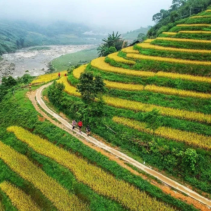 The beauty of Sapa's Si Chay village