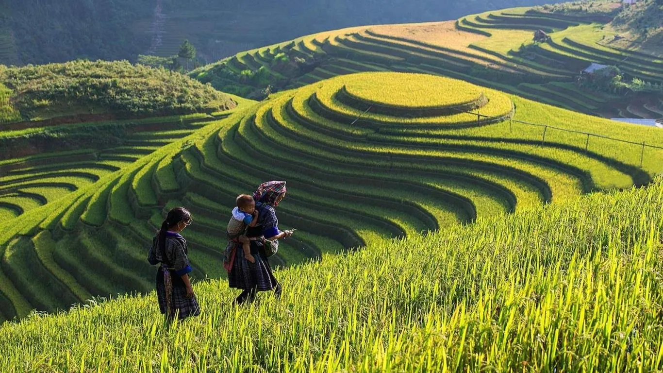 Vẻ đẹp của bản hồ Sapa