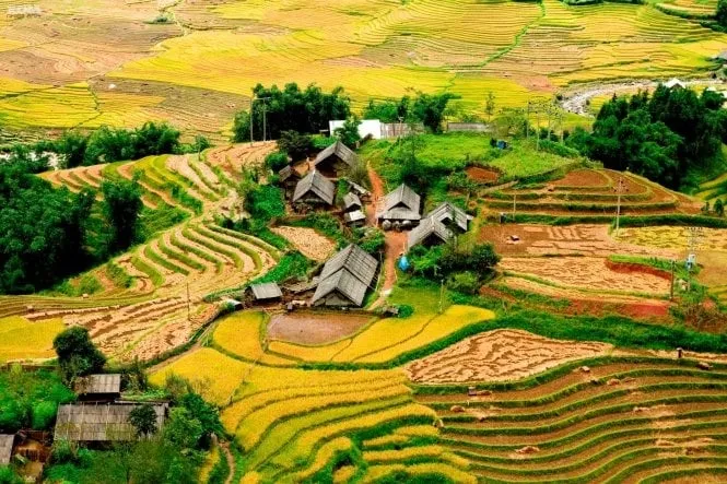 The beauty of Sapa's Si Chay village