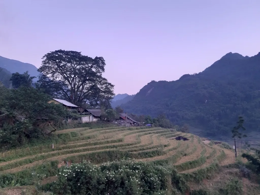 Bản hang đá Sapa