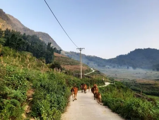 The simple beauty of Sapa cave village