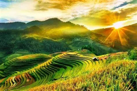 The wild beauty of Sapa Sau Chua village