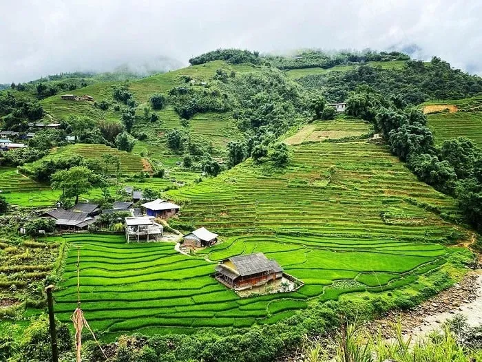 The wild natural beauty of Si Chay village, Sapa