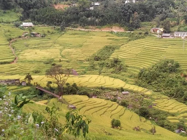 Bản thanh kim sapa vẻ đẹ yên bình