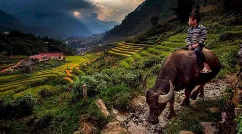 Bản thanh Phú Sapa