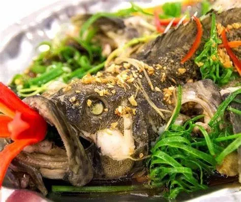 Grouper Fish The Rich Flavor of the Sea