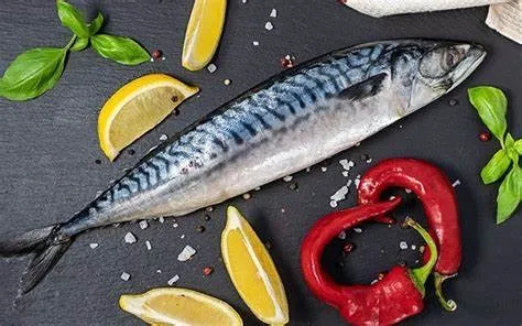Mackerel The Ultimate Ocean Delight