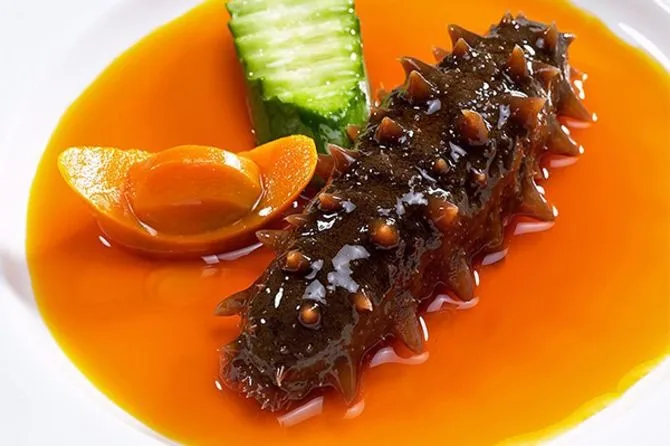 Hải sâm giàu chất dinh dưỡng