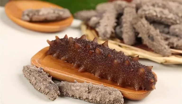 Sea Cucumber A Rare and Nutritious Delicacy