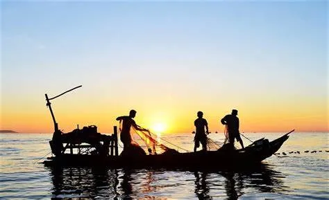 The poetic beauty of Phu Quoc's fragrant beach