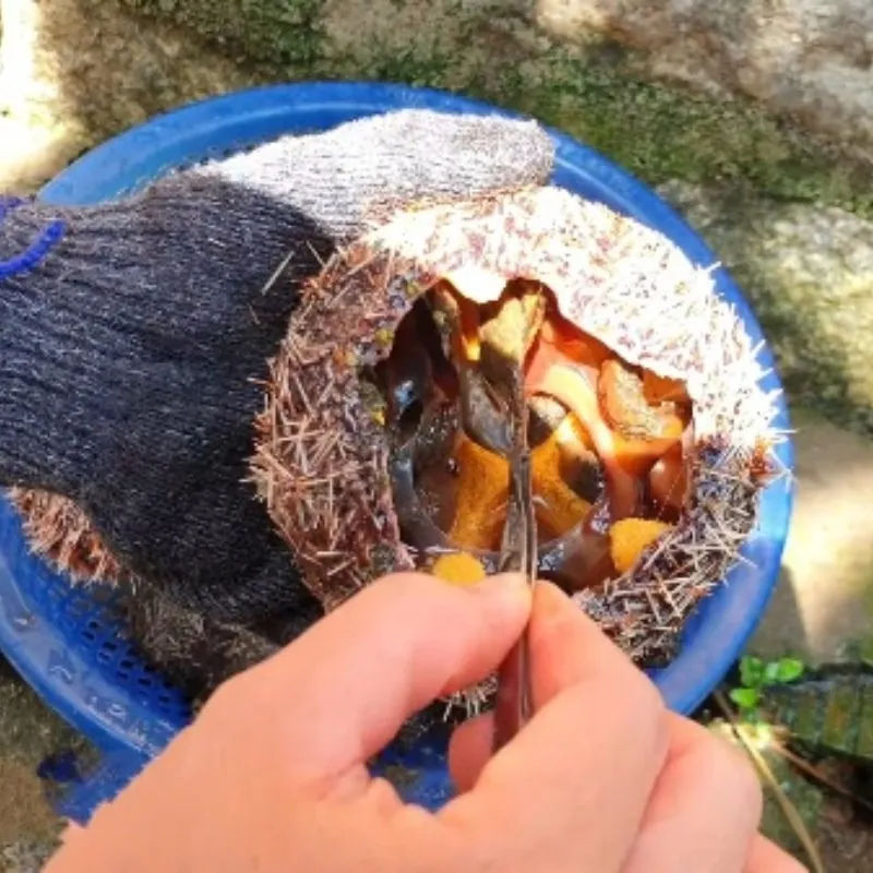 Sơ chế món nhum nướng