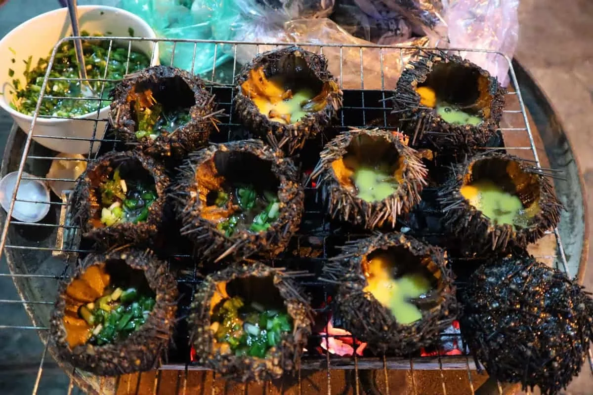 Nhum Biển Tinh Hoa Của Biển Cả