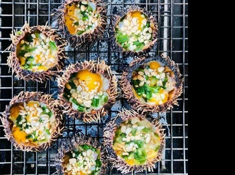 Grilled sea urchin Phu Quoc is delicious and nutritious