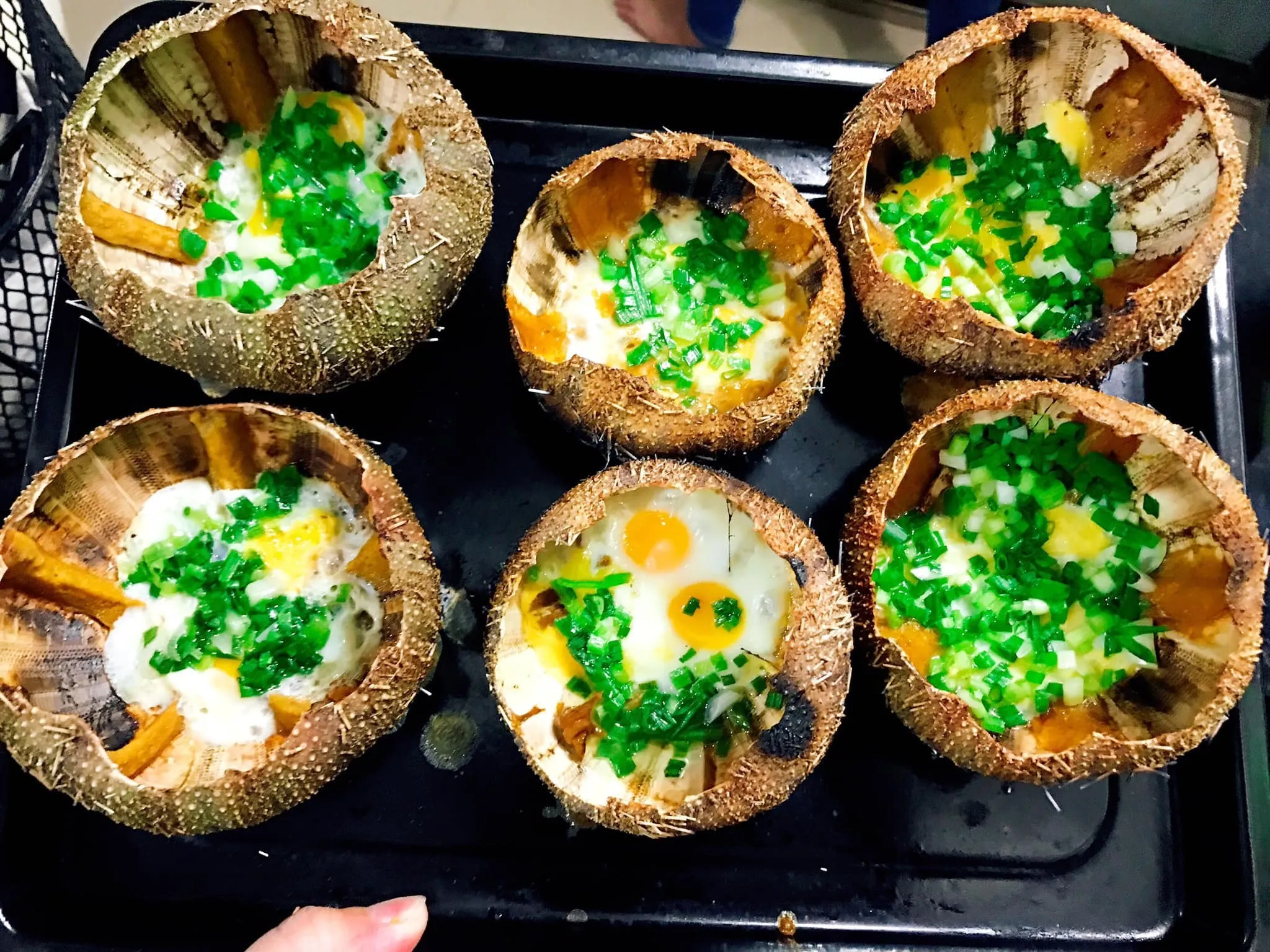 Grilled sea urchin Phu Quoc is delicious and nutritious