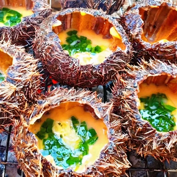 Grilled sea urchin Phu Quoc is delicious and nutritious