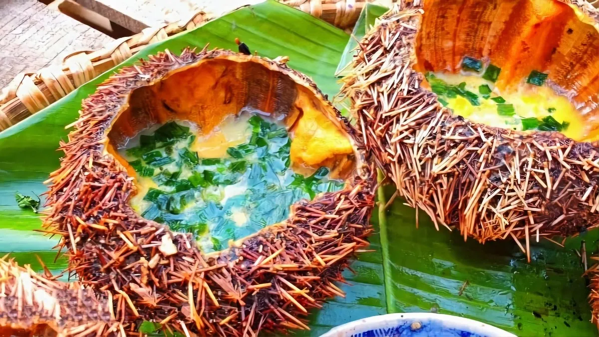Grilled sea urchin Phu Quoc is delicious and nutritious