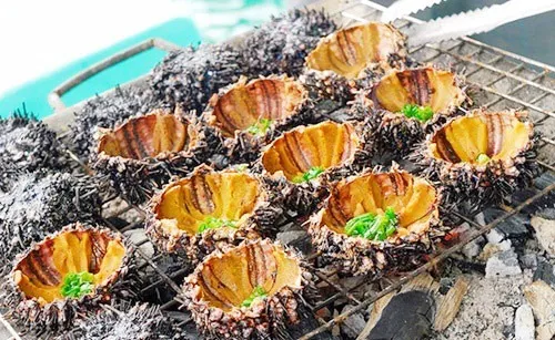 Grilled sea urchin Phu Quoc is delicious and nutritious