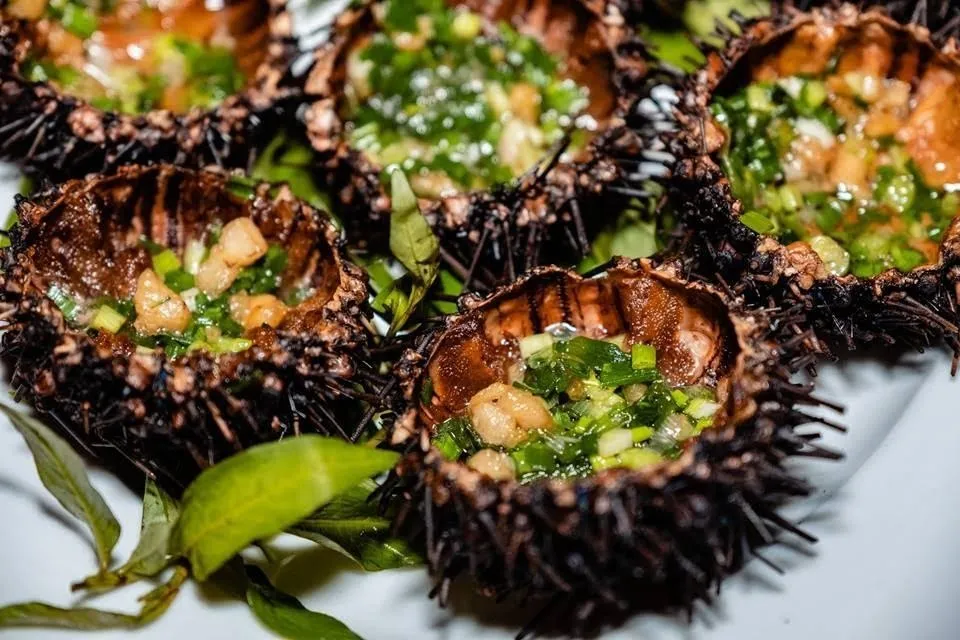 Grilled sea urchin Phu Quoc is delicious and nutritious