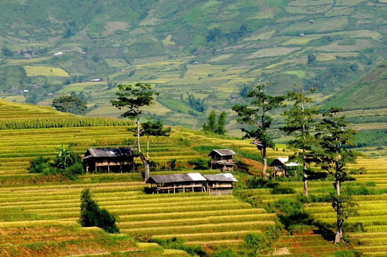 Núi mường hoa tại Sapa