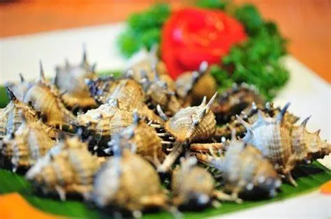 Ốc gai Phú Quốc