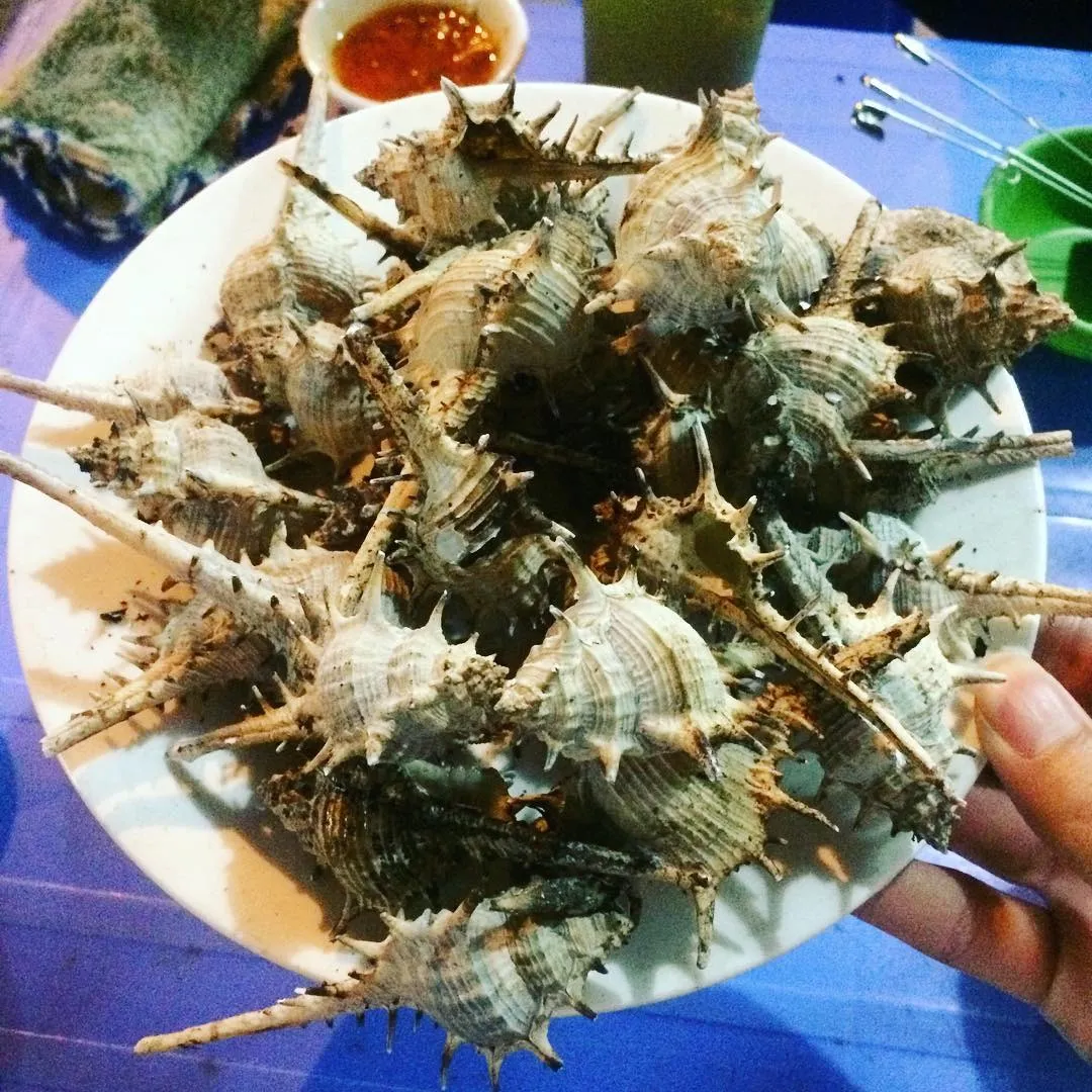 Spiny Snail A Unique Phu Quoc Specialty