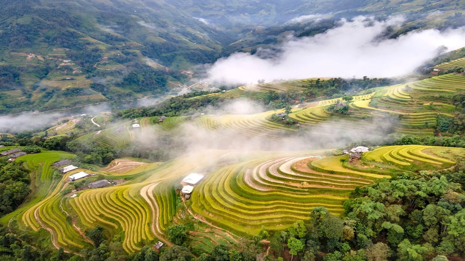Terraced fields in Sapa stone cave village