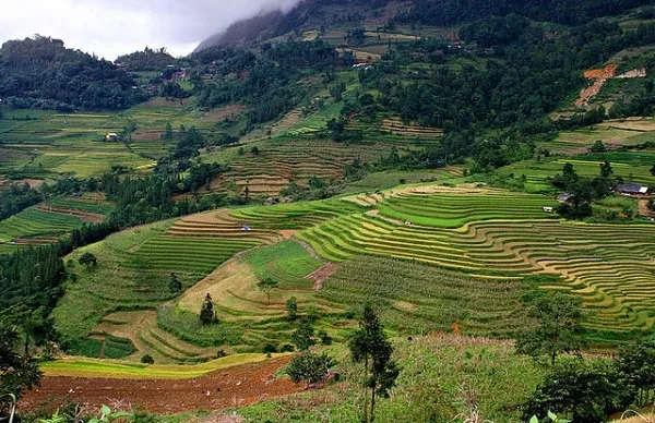Ruộng bậc thang tại Sín chéng