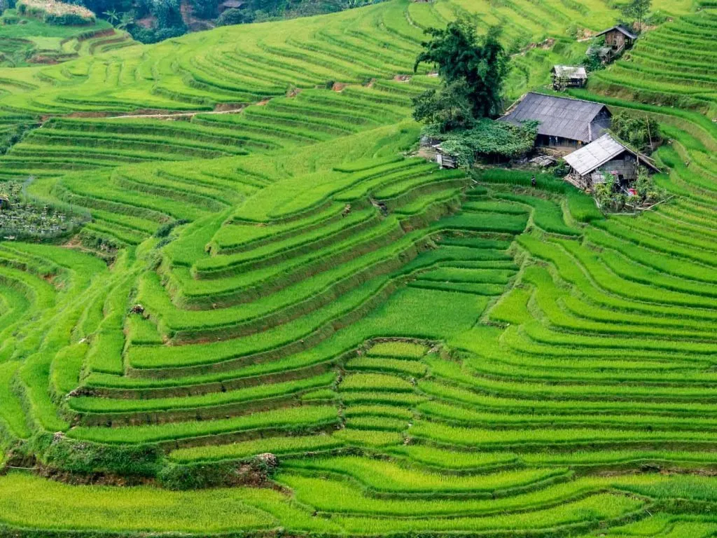 The wild beauty of Sapa Sau Chua village