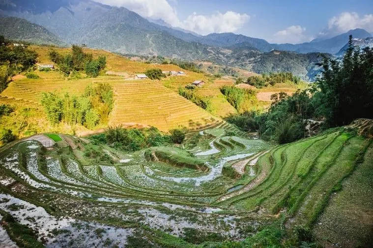 The beauty of Muong Hoa valley