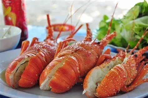 Slipper Lobster The Supreme Seafood Experience