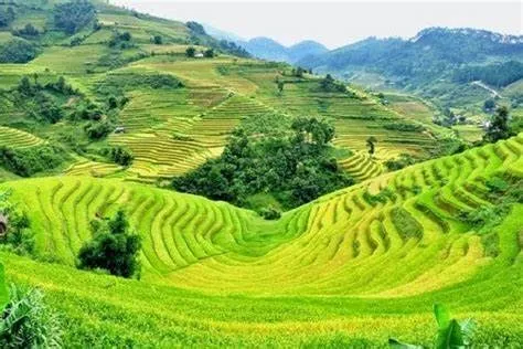 Vẻ đẹp của bản thanh phú SaPa