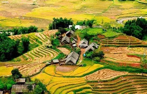 Vẻ đẹp của mường hoa