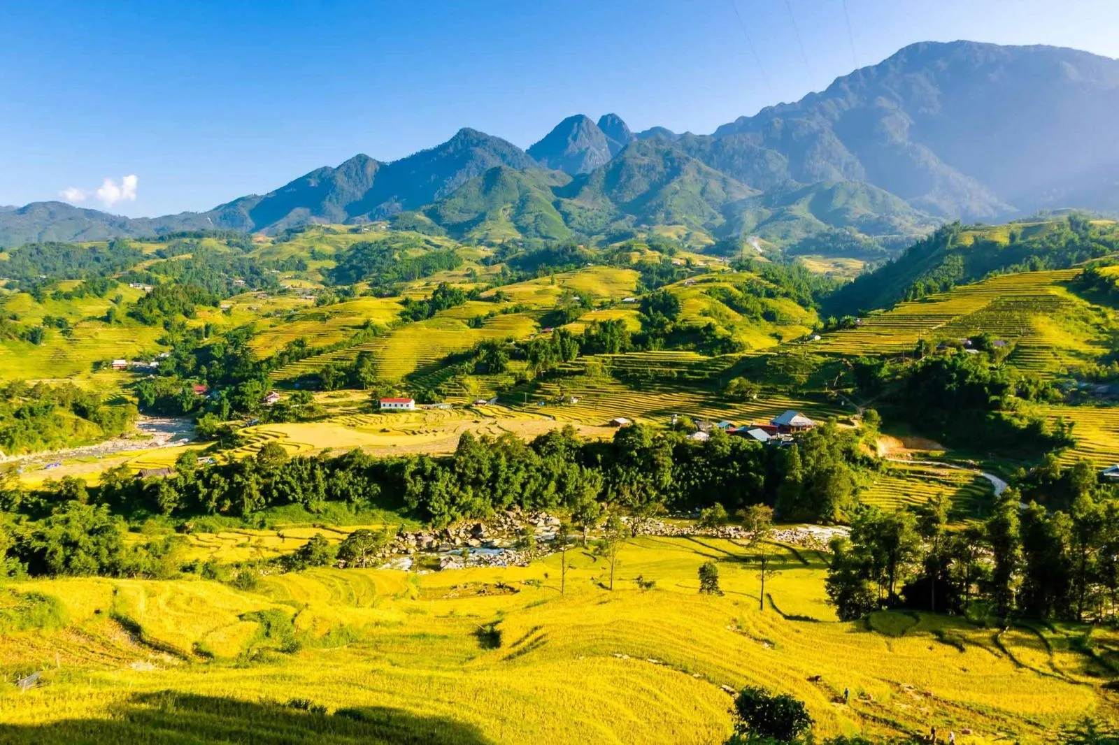 Admire the peaceful beauty of Thanh Phu village, Sapa