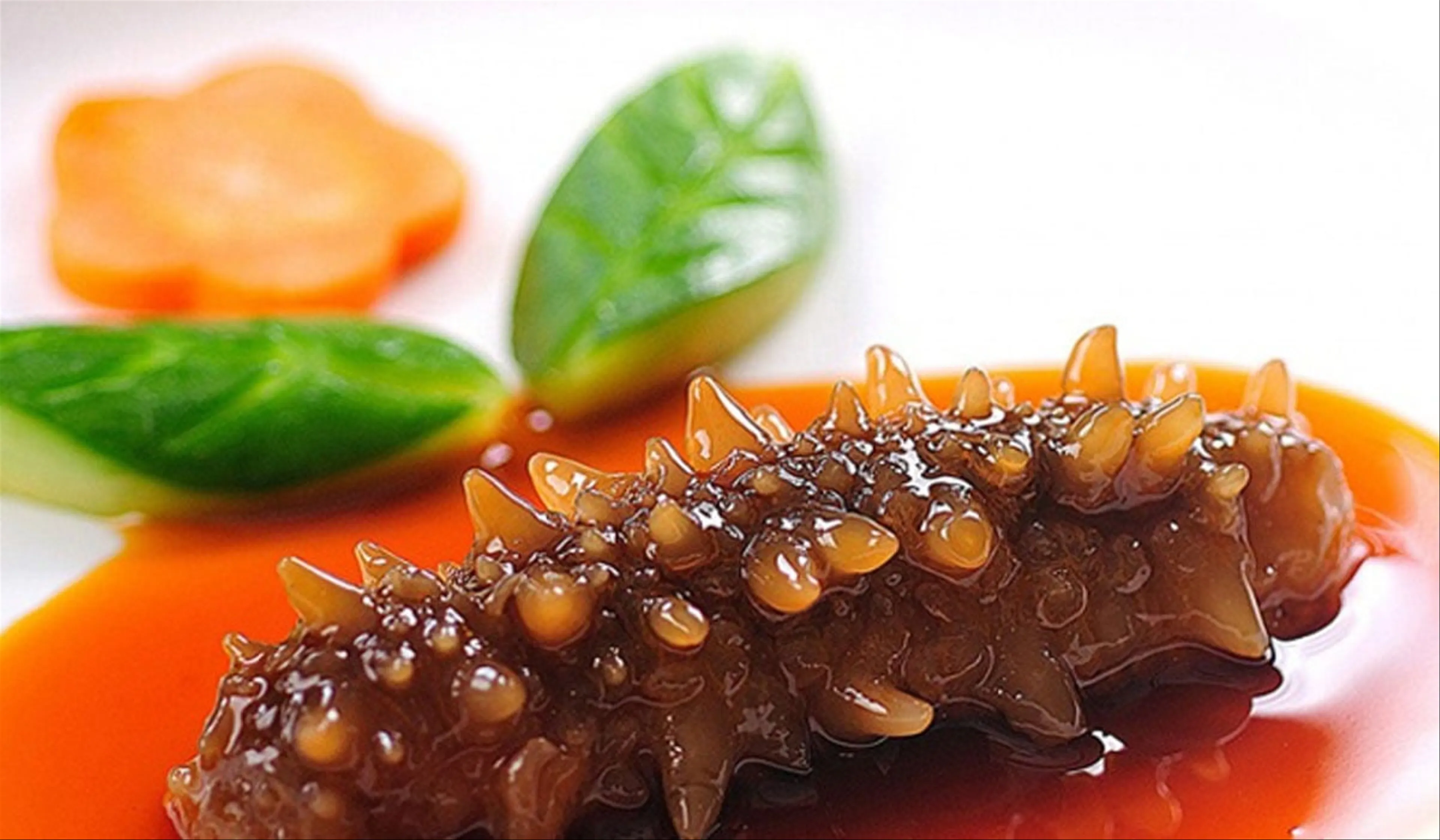 Sea Cucumber The Ocean’s Treasure and Phu Quoc’s Delicacy