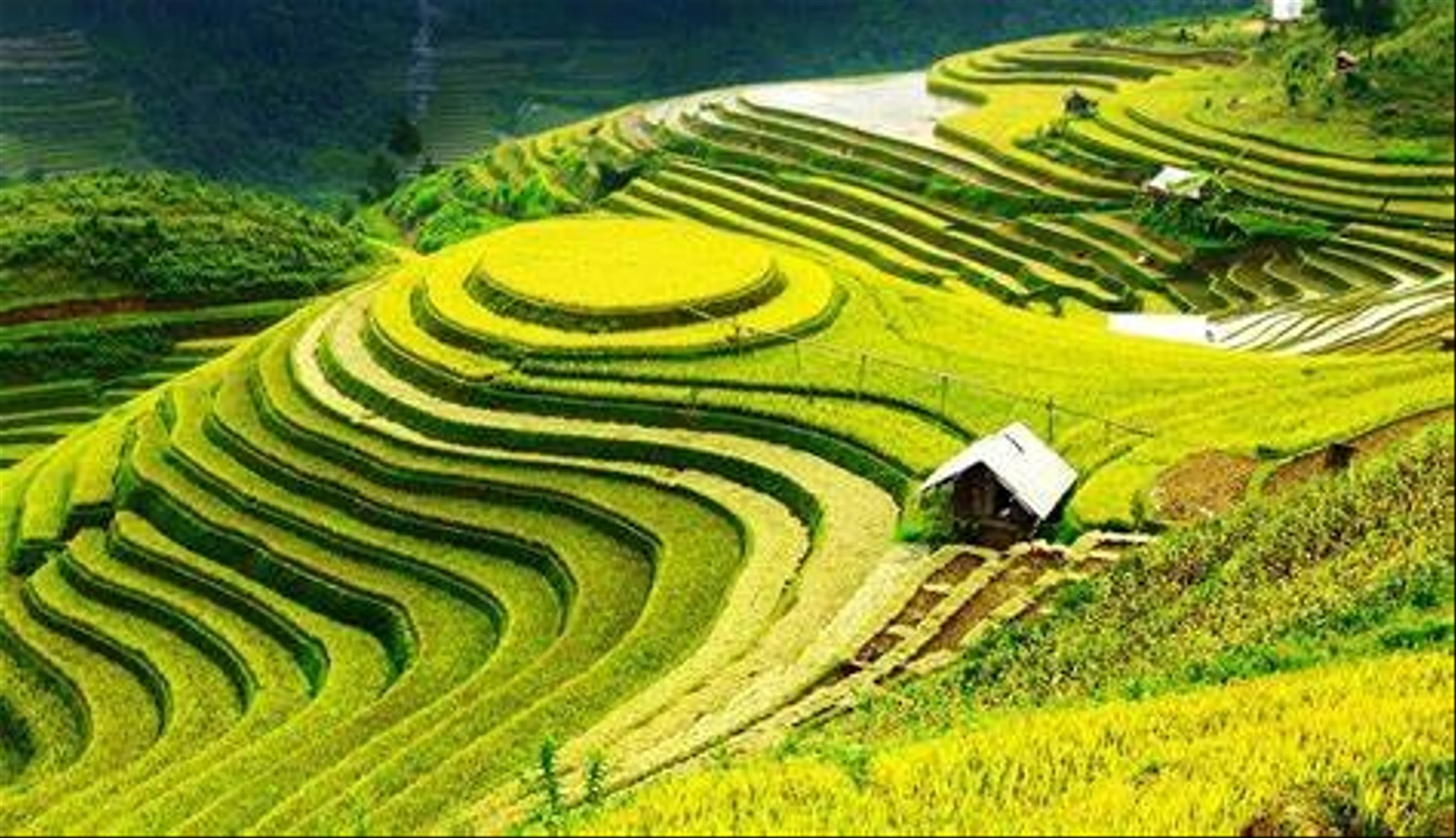 Thung Lũng Mường Hoa tuyệt tác thiên nhiên giữa núi rừng Tây Bắc