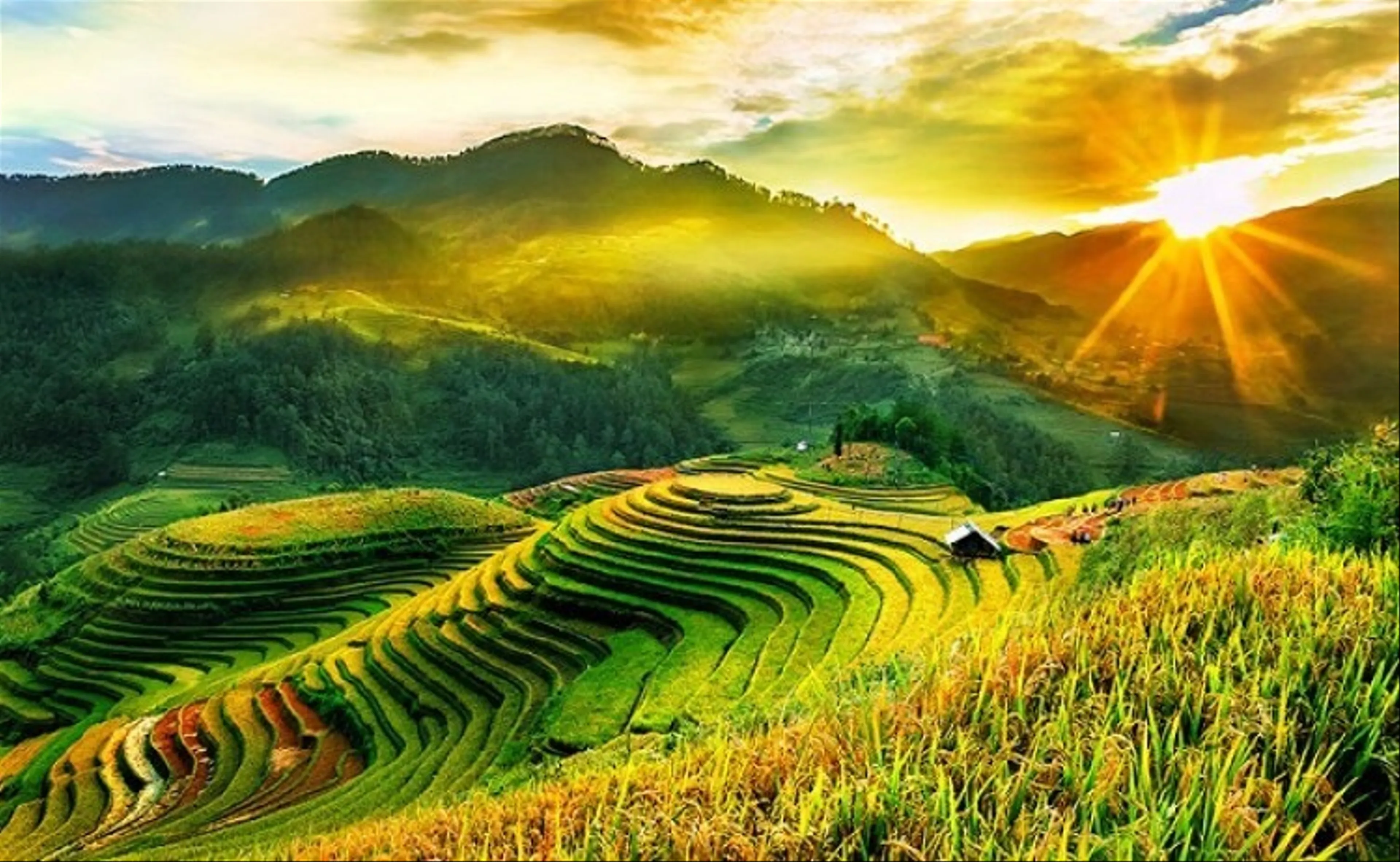 Khám Phá Bản Sí Chải - Vẻ Đẹp Nguyên Sơ Giữa Núi Rừng Sa Pa