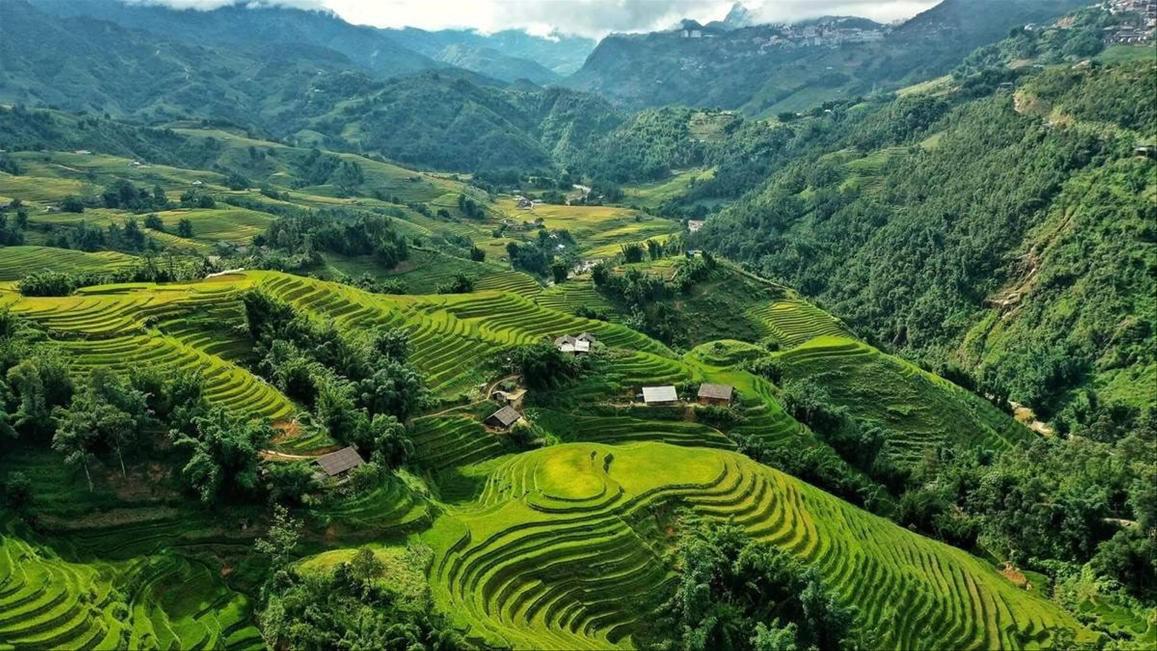 Khám phá bản Hồ Sapa vẻ đẹp hoang Sơ giữa núi rừng Tây Bắc