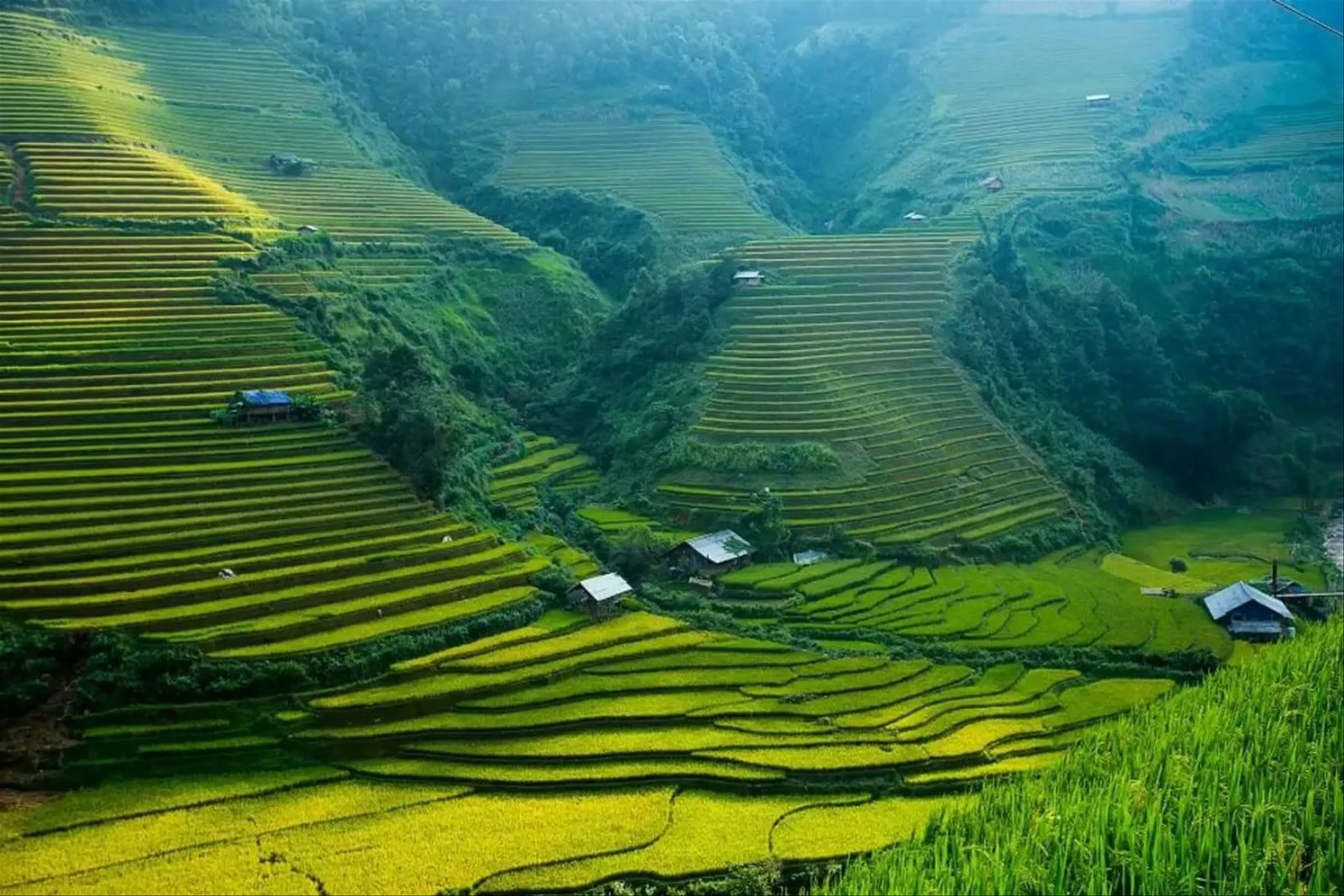 Bản Lao Chải – Khám Phá Vẻ Đẹp Bình Yên Giữa Núi Rừng Tây Bắc