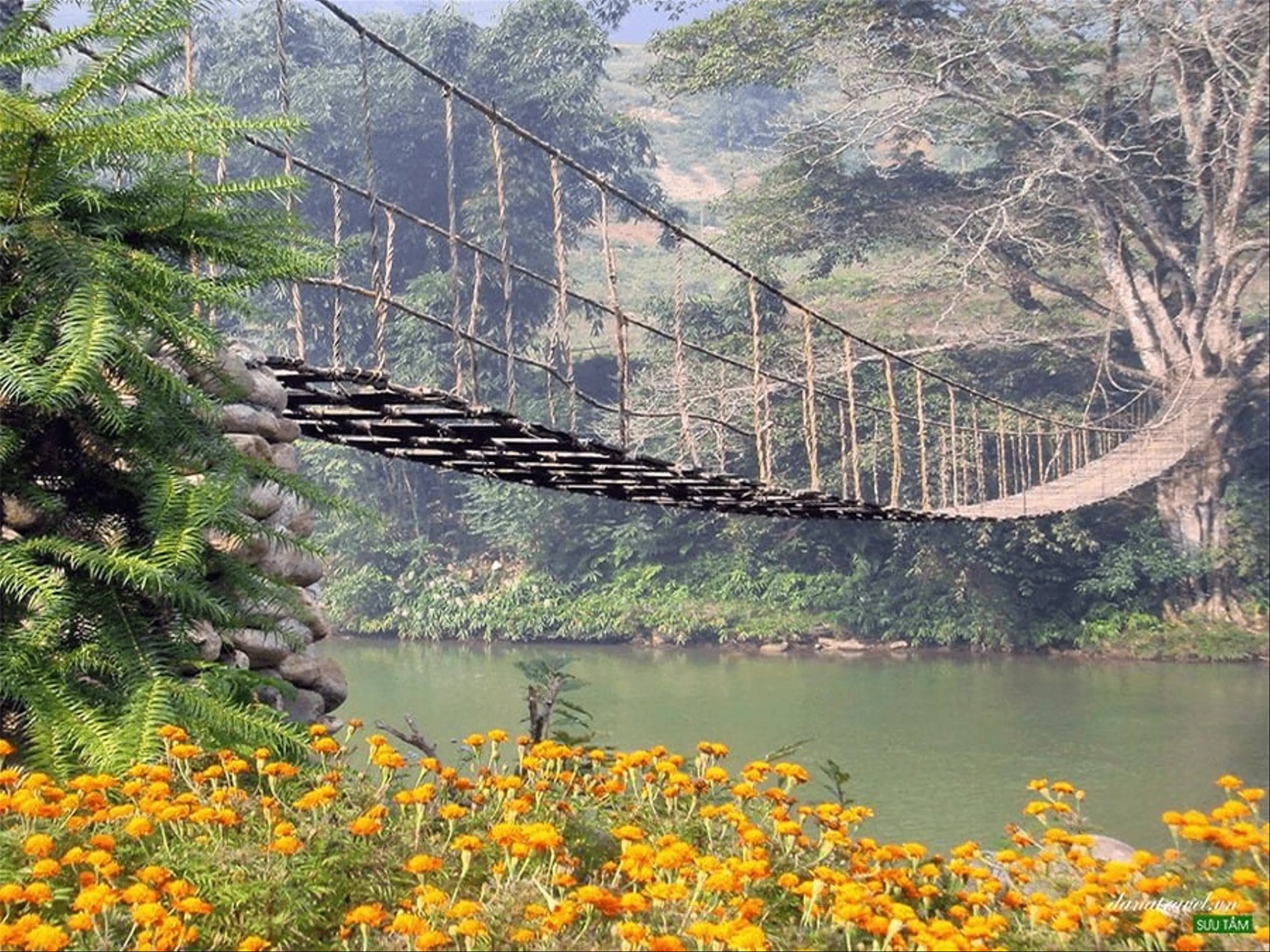 Cau May Sapa A Fairy Tale Bridge Amidst the Northwestern Mountains