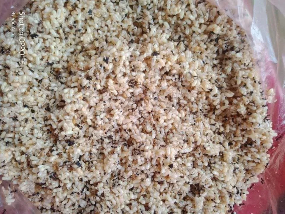 Trứng kiến Sapa