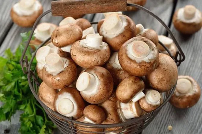 Nấm hương Sapa thơm ngon