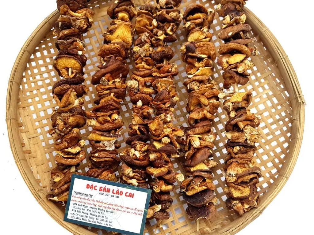 Nấm hương SAPA món ăn ngon khó cưỡng