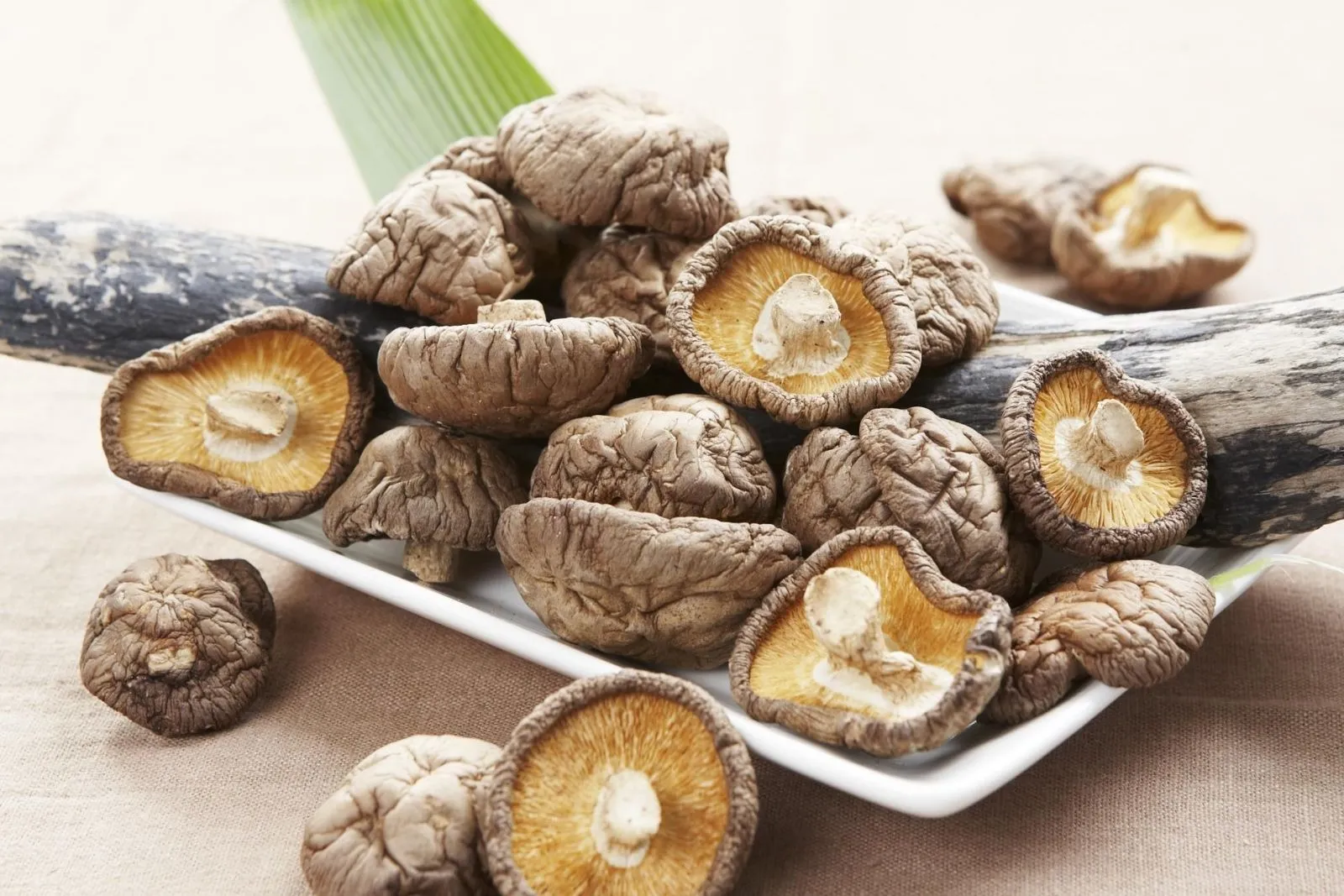 Nâm hương Sapa món ăn giảu dinh dưỡng