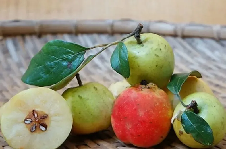 Rượu táo mèo, rượu ngô Hương