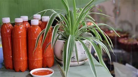 Tương Ớt Mường Khương hương Vị Cay Đậm Chất Tây Bắc