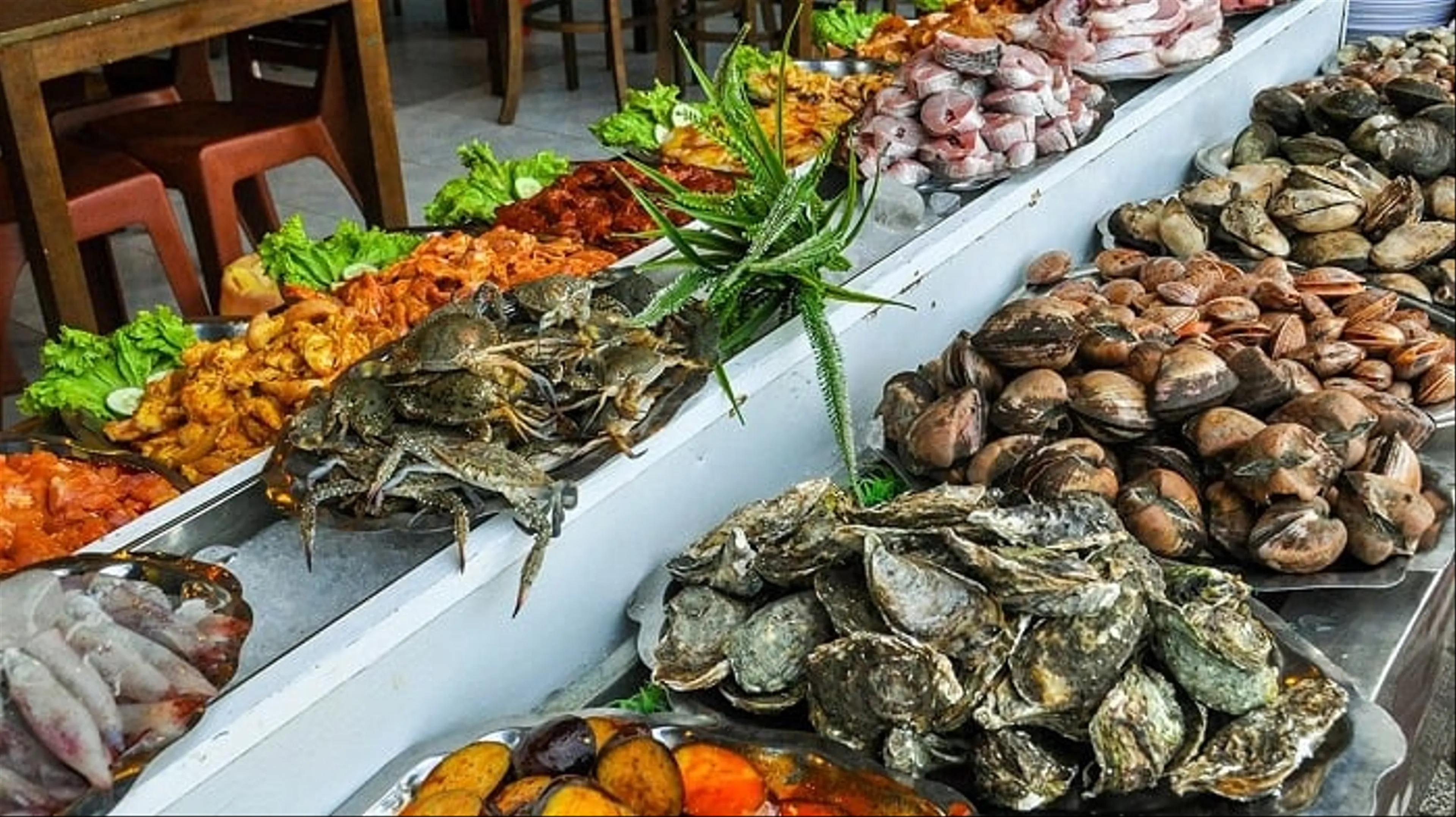 Nha Trang Seafood the Quintessence of Coastal Cuisine You Cannot Miss