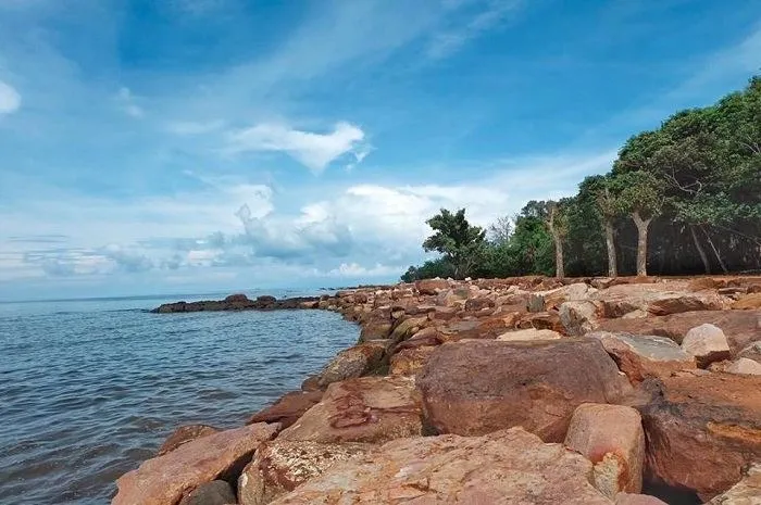 Bãi của cạn Phú Quốc