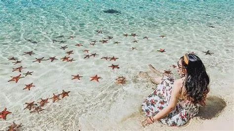 Sao Beach Pristine Beauty in the Heart of Southern Phu Quoc